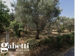 Terreno Residenziale - Acquedolci . Rif.: Cod. rif 3203785VCG