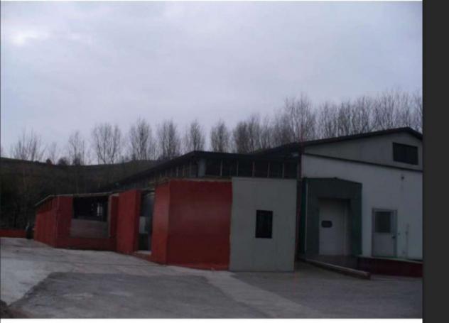 Immobile in asta di 1051 m² con più di 5 locali in vendita a Picerno - Foto 4