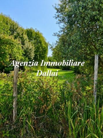Scarperia (pressi) - Splendida colonica con giardino e terreno - Foto 3