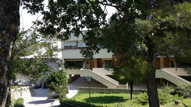 Affittasi camera singola a studentesse.