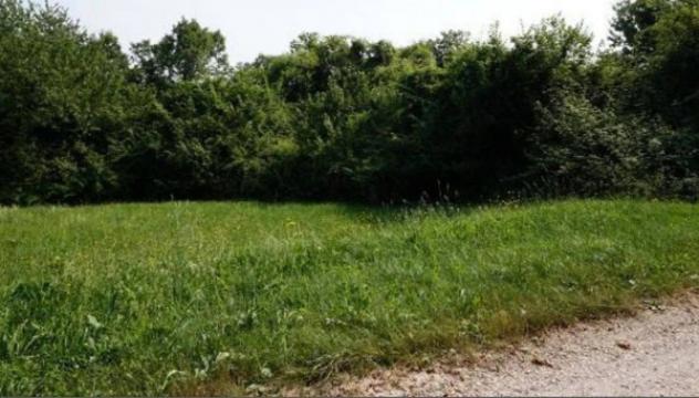 Immobile in asta di 40247 m² in vendita a Sovizzo - Foto 16