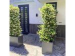 Ercolano Luxury Suite