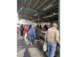 TREVISO - CESSIONE HUB LOGISTICO E CENTRO ITTICO