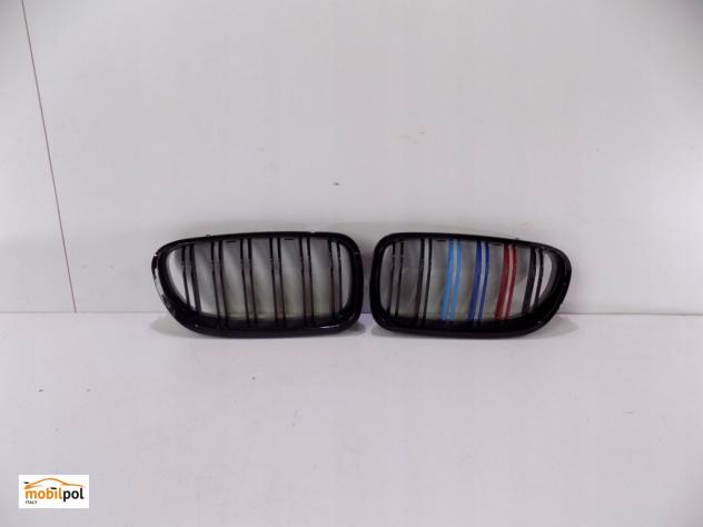 BMW 5 F10F11 Reni / Griglia - 0202