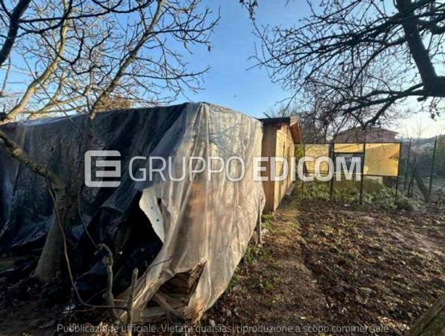 Terreno in vendita a Cerea - Rif. 4549214 - Foto 6