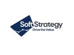 Business Analyst