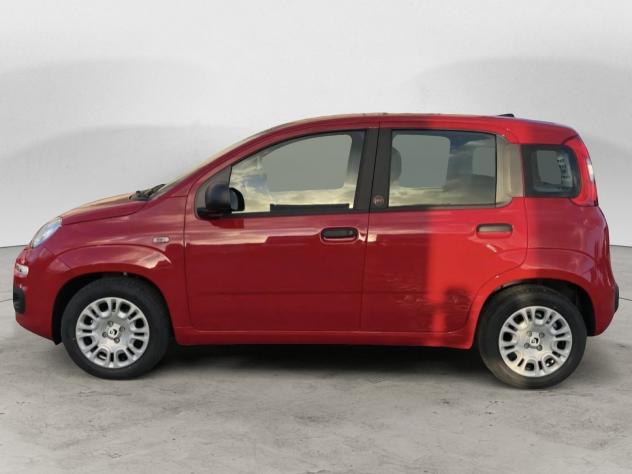 FIAT Pandina 1.0 FireFly 65cv S&S 6m Hybrid Icon PREZZO VERO - Foto 4