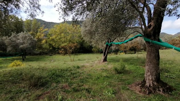 GIFFONI VALLE PIANA LOC. BELVEDERE Terreno di 13 ETTARI