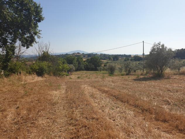 Rustico in vendita a Lugnano in Teverina - Foto 4
