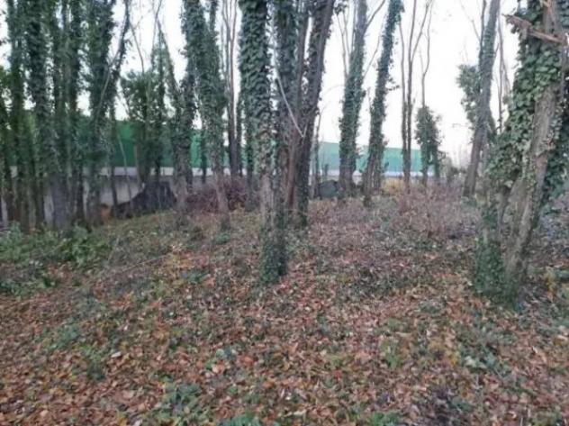 Immobile in asta di 9373 m² in vendita a Mogliano Veneto - Foto 10
