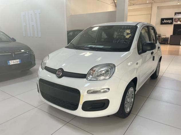 FIAT Pandina Pandina 1.0 firefly hybrid Icon