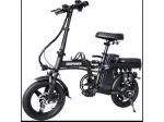 Bicicletta elettrica DEEPOWER