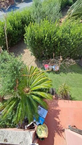 Villetta a schiera in vendita a Calcinaia 145 mq Rif: 1432911 - Foto 7