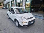 FIAT Panda 1.0 Hybrid City Life NEOPATENTATI rif. 24194967