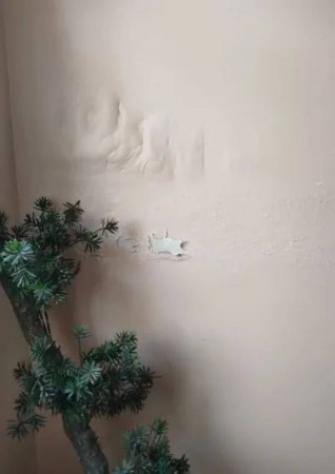 Immobile in asta di 225 m² con più di 5 locali in vendita a Montesilvano - Foto 5