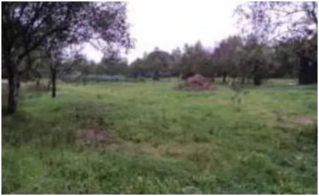 Immobile in asta di 36620 m² in vendita a Fucecchio - Foto 5