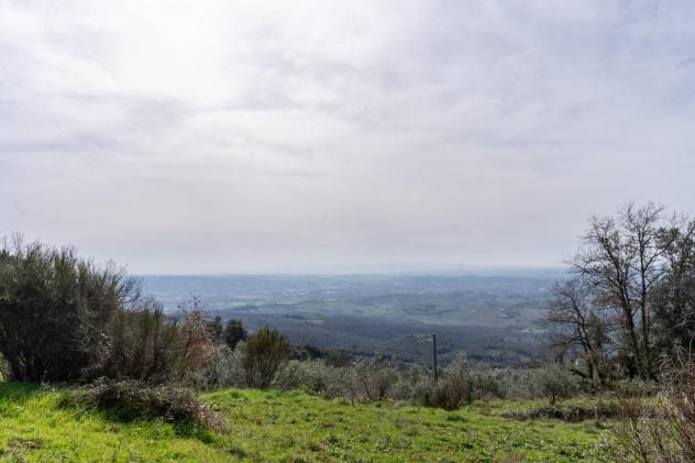 Terreno agricolo in vendita a Vitolini - Vinci 18450 mq Rif: 1399141 - Foto 7