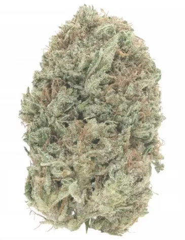 White CBG