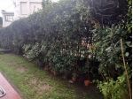 Appartamento in vendita a Massa 83 mq  Rif: 1384051