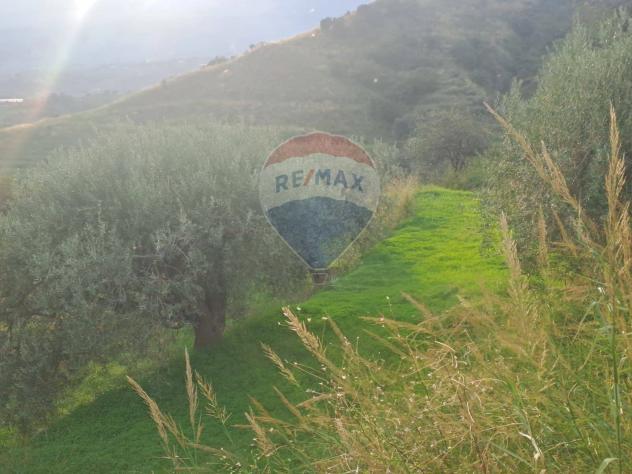 Terreno in vendita a Calatabiano - Foto 2