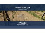 Immobile in asta di 22563 m² in vendita a Campofilone