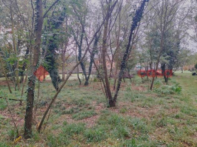 Terreno di 1200 m² in vendita a Cressa - Foto 6