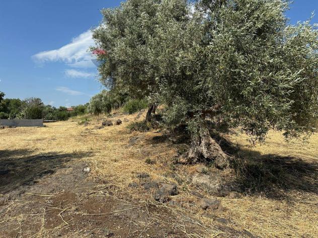Terreno in vendita a Misterbianco - Foto 5