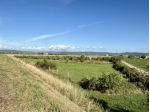 TERRENO AGRICOLO di 6170 mq (GROSSETO - Alberese) rif. TE.28