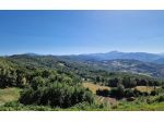 RUSTICI CON TERRENO E BOSCO