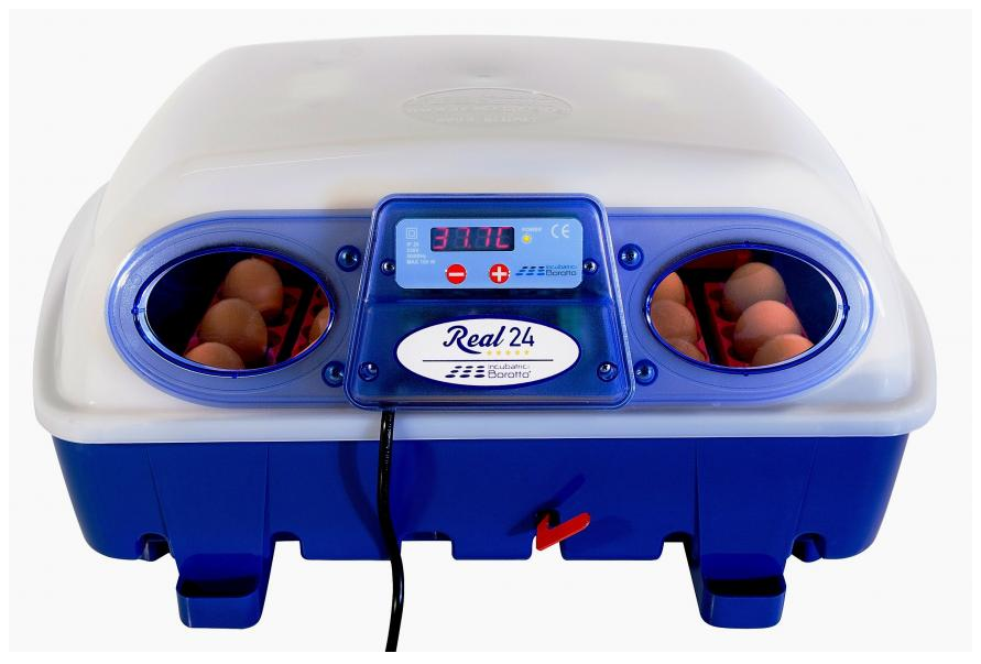 Incubatrice semi-automatica REAL 24 Borotto - Cardelli