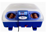Incubatrice semi-automatica REAL 24 Borotto - Cardelli