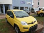 FIAT Panda 1.0 FireFly S&S Hybrid Pandina rif. 21502135