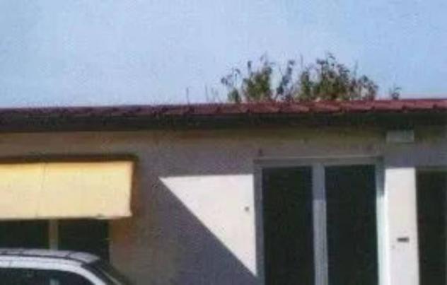 Immobile in asta di 94 m² in vendita a Crespino - Foto 5