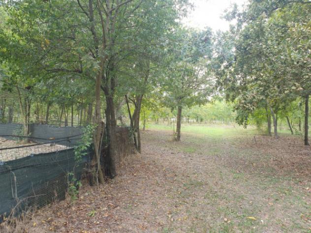 Rustico / Casale di 600 m² in vendita a Soliera - Foto 2