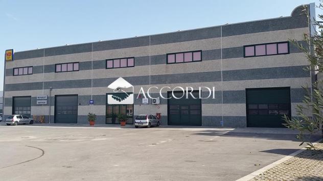 CAPANNONE di 1 vani e di 1700 mq (MUSSOLENTE) rif. DL283 - Foto 4