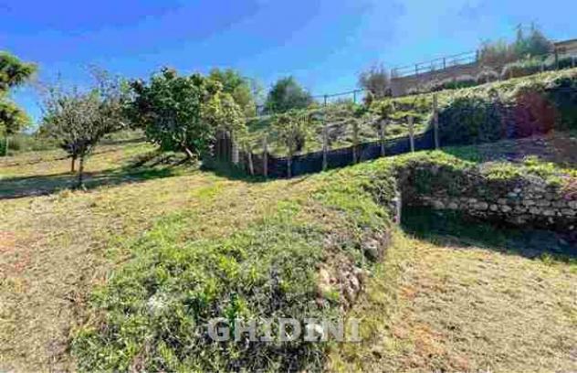 VILLA di 66 vani e di 200 mq (CAMPAGNATICO) rif. 2532.68M - Foto 11