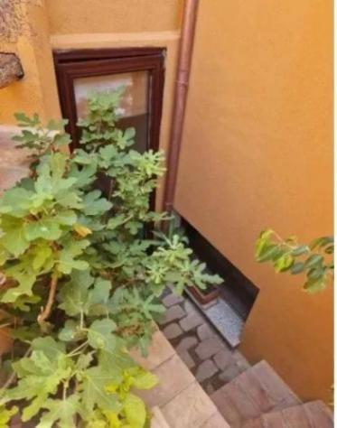 Immobile in asta di 131 m² con più di 5 locali in vendita a La Maddalena - Foto 9