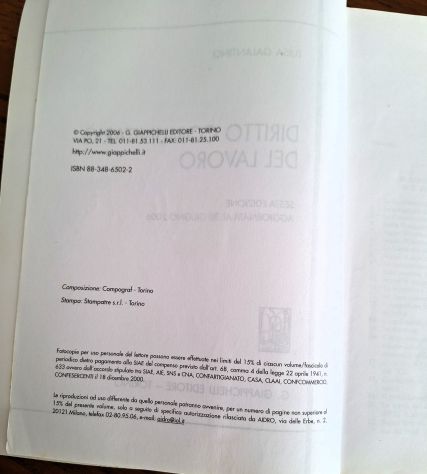 Luisa Galantino - Diritto comunitario del lavoro - Foto 2