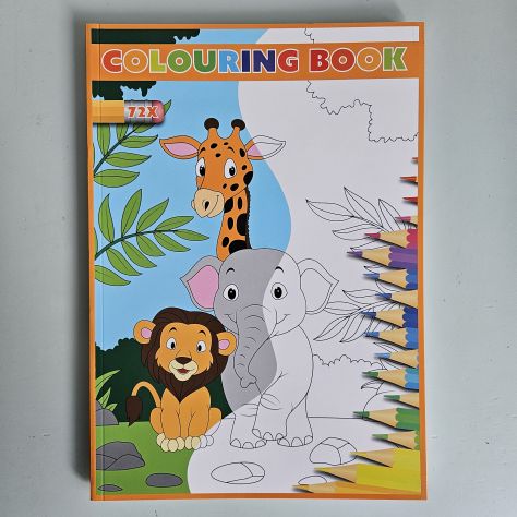 Libro da Colorare, Colouring Book - Giraffa A4 - 2026 - TRACCIATA!! - Foto 7