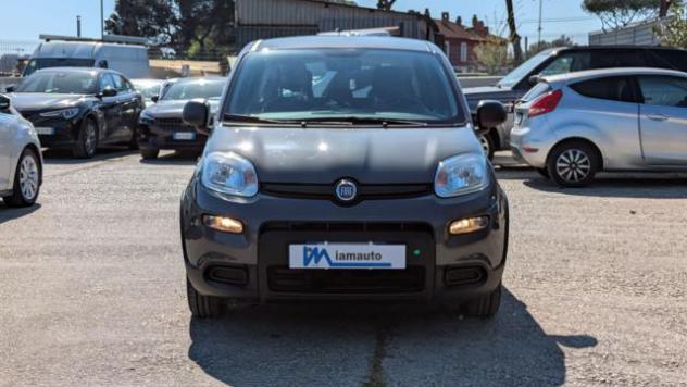 FIAT Panda FireFly Hybrid 1.0cc 69cv rif. 23515867 - Foto 2