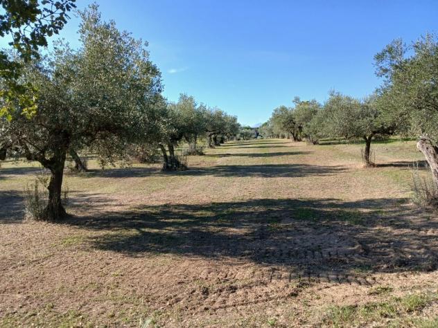 Magazzino in vendita a Loreto Aprutino - Foto 19