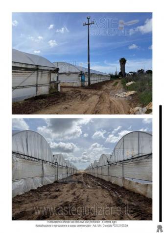 IMMOBILI-ALTRA CATEGORIA-Via di Cavallo Morto, Anzio RM, Italia - Foto 5