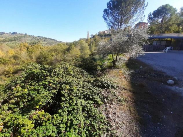 Immobile in asta di 8034 m² in vendita a Mirabello Sannitico - Foto 2