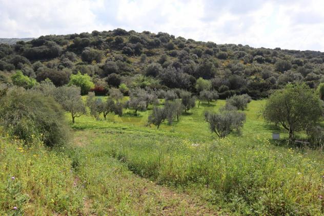 Cascina/Casale in vendita a Vittoria - Foto 12