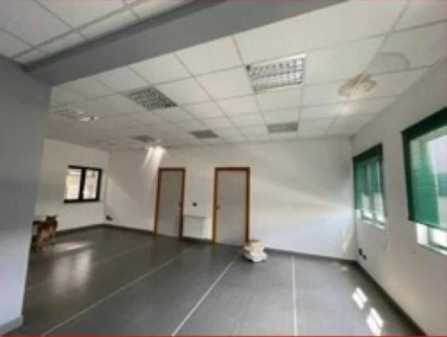 Immobile in asta di 1200 m² in vendita a Palo del Colle - Foto 6