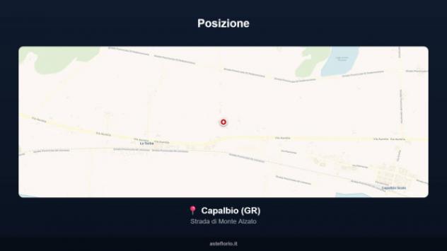 Immobile in asta di 66 m² in vendita a Capalbio - Foto 18
