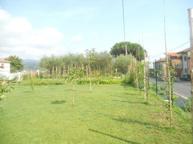 Terratetto in vendita a Castelnuovo Magra 220 mq Rif: 1289868 - Foto 9