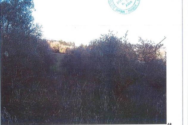 Immobile in asta di 33490 m² in vendita a Perugia - Foto 4
