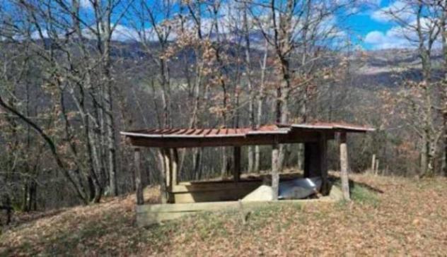 Immobile in asta di 15850 m² in vendita a Piancastagnaio - Foto 6