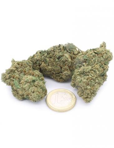 Amnesia Haze - Foto 3